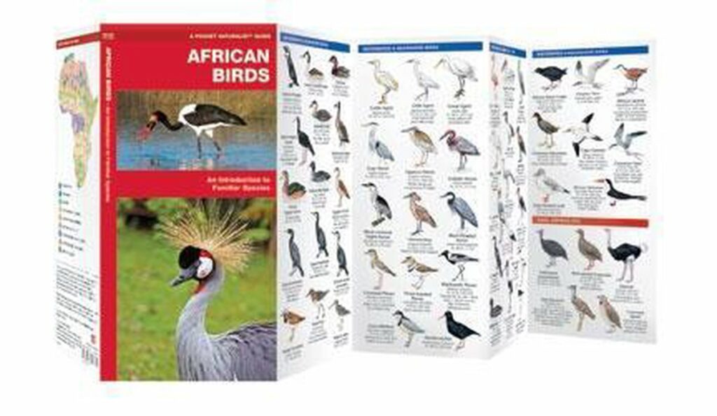 Vogelgids African Birds inhoud